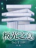 极光之意出版版本
