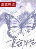 夏夜偏航免费阅读全文
