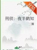刑侦夜话3