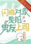 闪婚对象是前男友上司作者解冻湖水