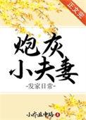 炮灰小夫郎[快穿