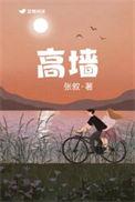 火柴人亨利高墙