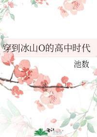 穿到冰山o的高中时代