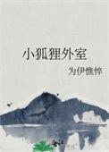 小狐狸siec