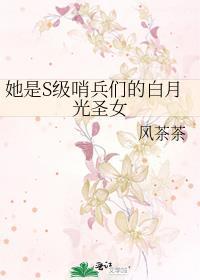 她是s级哨兵们的白月光圣女免费阅读29