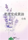 老虎变成黄油小央txt