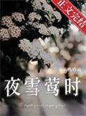 夜雪作者