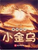 偷偷养只小金乌结局是什么