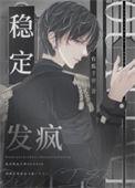 稳定发展是什么意思