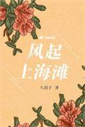 上海滩再起风云在线观看