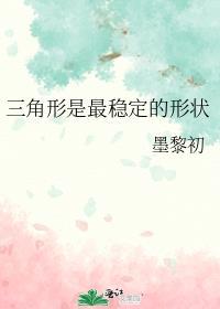 三角形是最稳定的形状95章墨黎初
