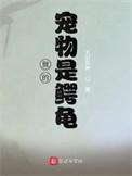 我的宠物是鳄龟顶点