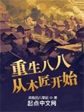 重生八八从木匠开始 奔跑的八零后