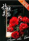 玫瑰先生在某天被送给某个少年