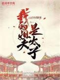 我是我姐夫的什么