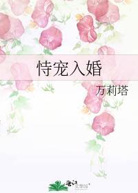 恃宠入婚晋江文学城