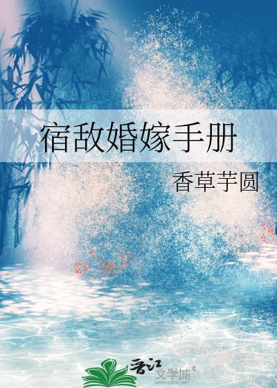 宿敌婚嫁手册笔趣阁