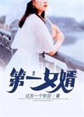 第一女婿内容简介