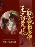 王府贵妻