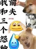 我和三个怨种前夫免费阅读