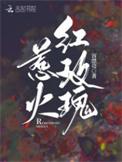 惹火玫瑰的豪门太太之路