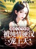 重回八零当军嫂 暖金