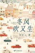 冬风很难吗