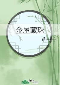 金屋藏珠txt