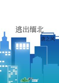 逃出缅北地狱的