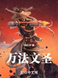 万法文圣无防盗