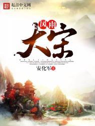 风雨大宋txt八零