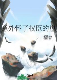 意外怀了权臣的崽by小清欢