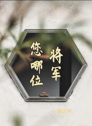 你的将军啊