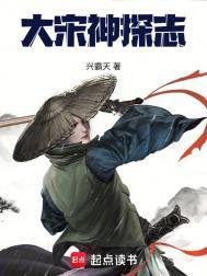 大宋神探志TXT全本