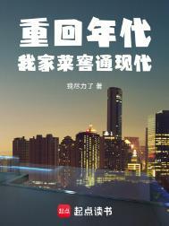 重回年代我家菜窖通现代免费