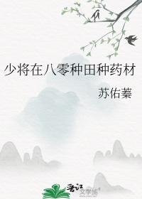 少将在八零种田种药材苏佑秦免费阅读