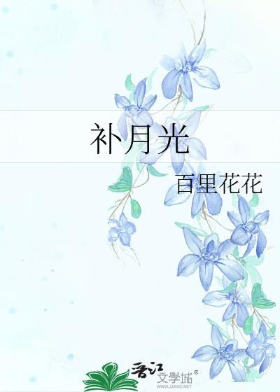 补月光沈愿全文免费阅读