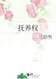 抚养权的定义