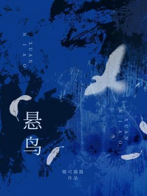 悬鸟TXT