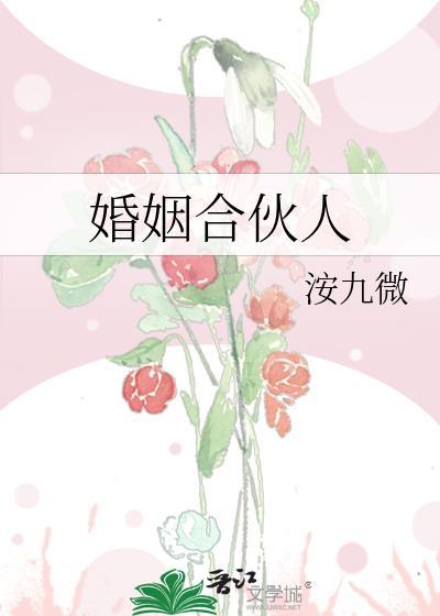 婚姻合伙人短剧