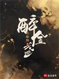 醉金盏作者