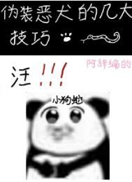 伪装恶犬的几大技巧包