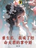 重生后我成了宠夫