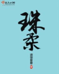 珠柔赵明枝最后和谁在一起了