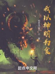 我以神明为食书评