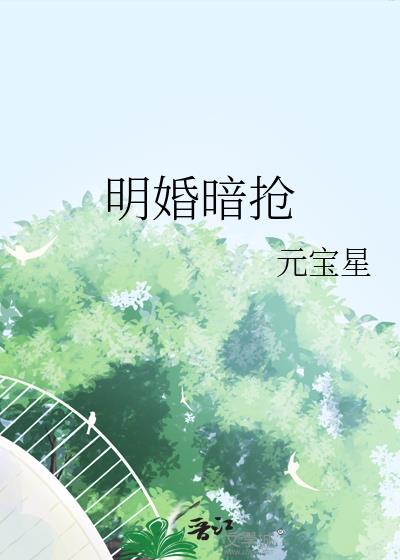 明媒暗娶