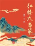 红楼大当家 笔趣阁