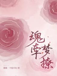 魂牵梦绕全文阅读