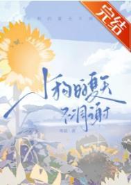 夏天的狗怎么样