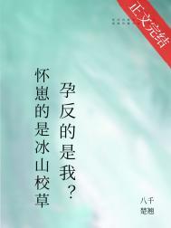 怀崽的是清冷美人宿敌孕反